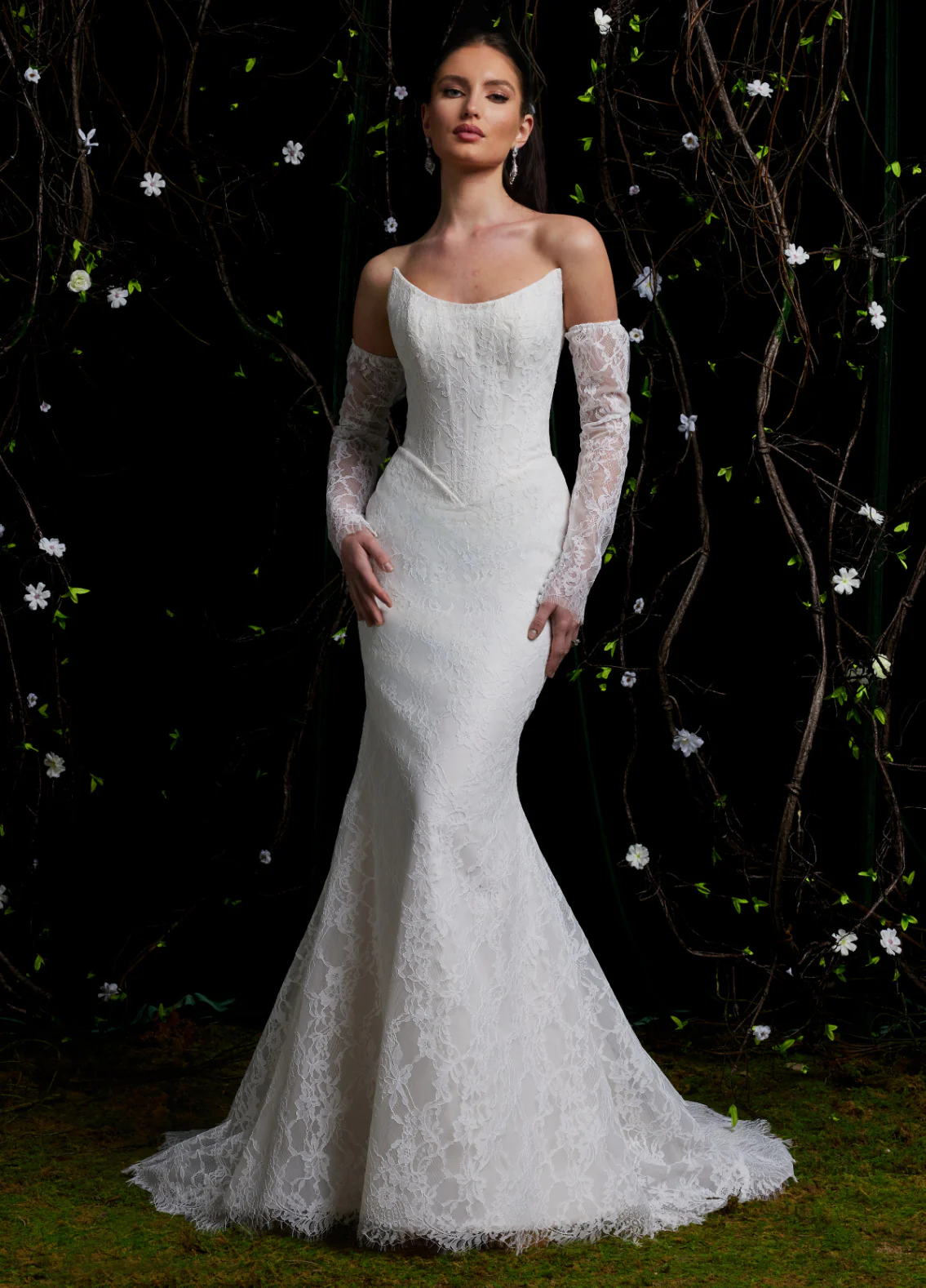 Ashley & Justin: Gloria - 12061D