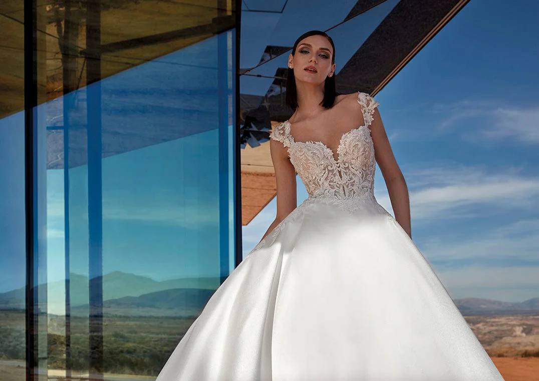Pronovias Privee: Vivianite (Clearance) - Image 3
