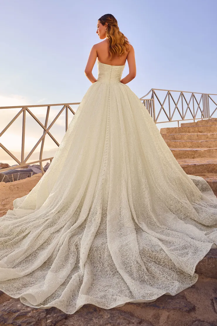 Sophia Tolli: ST655 - Soul - Image 3