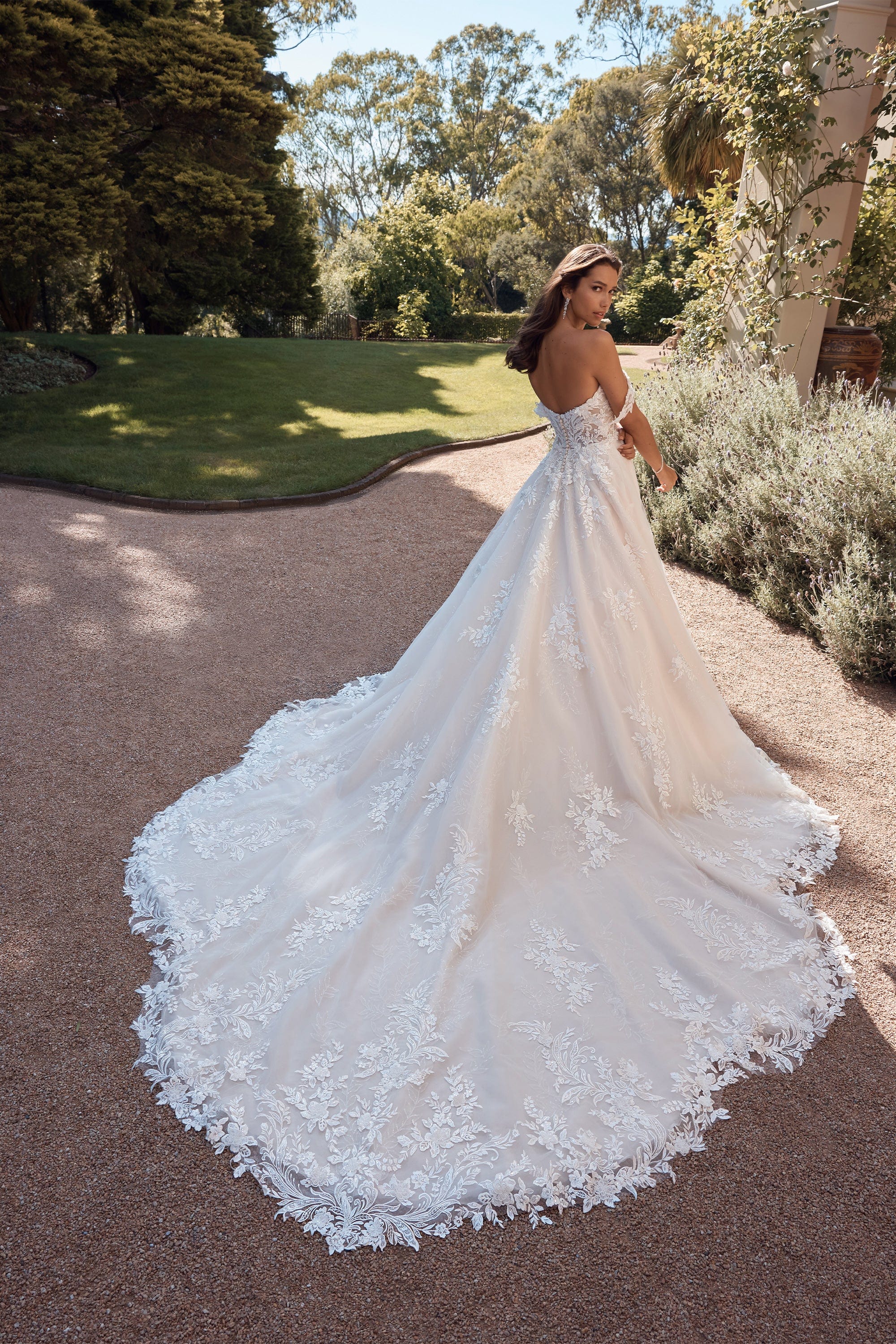 Sophia Tolli: ST625 - Marseille - Image 2