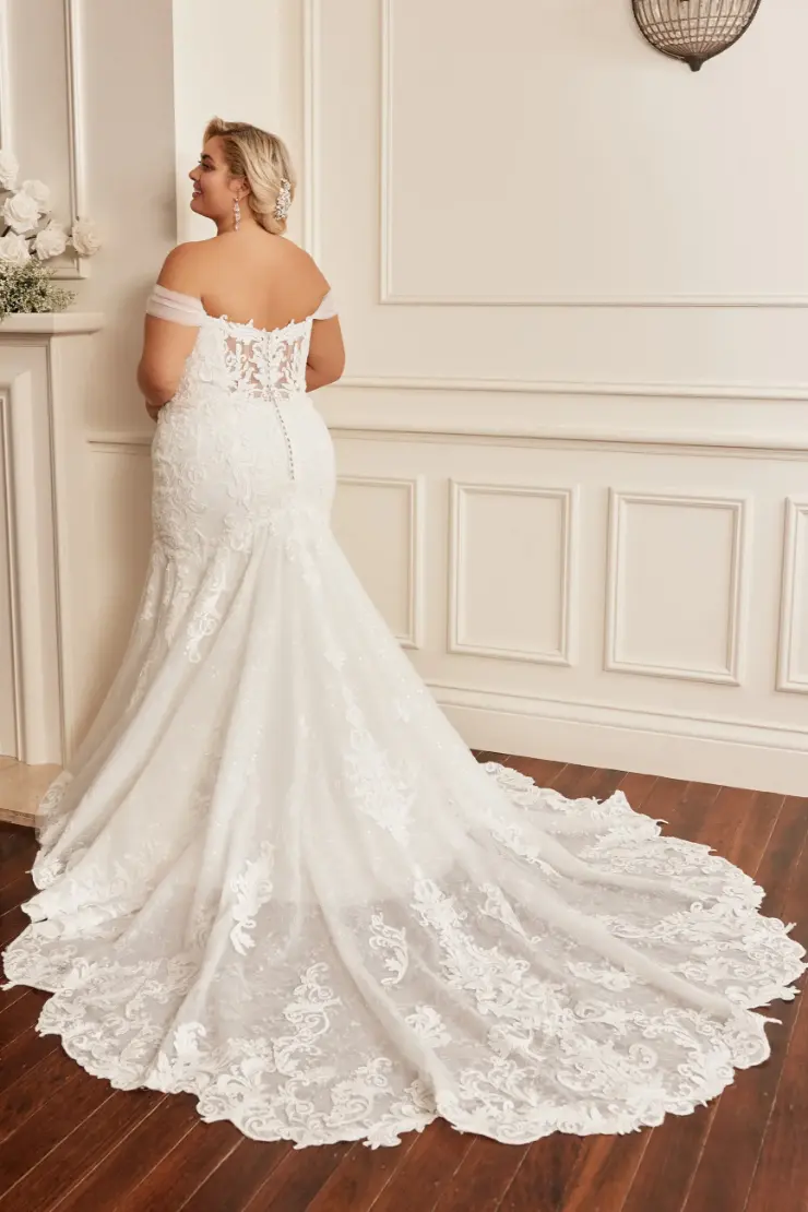 Sophia Tolli: Y22277FI - Harley - Image 2